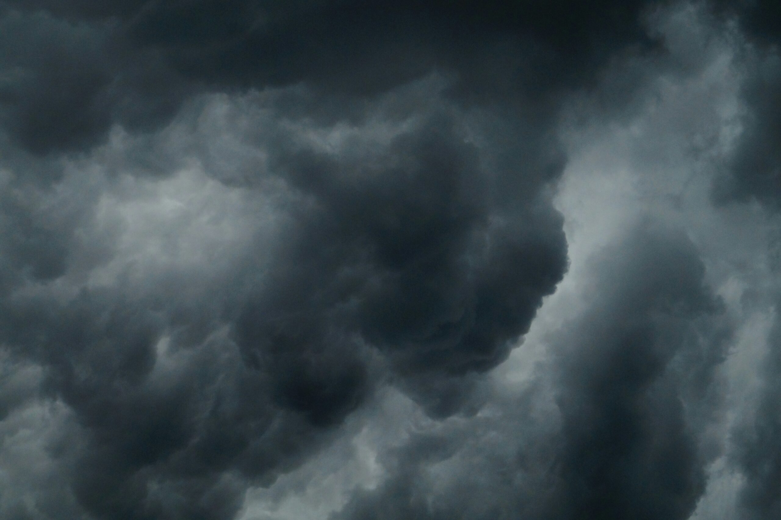 Expert reaction to Storm Bert