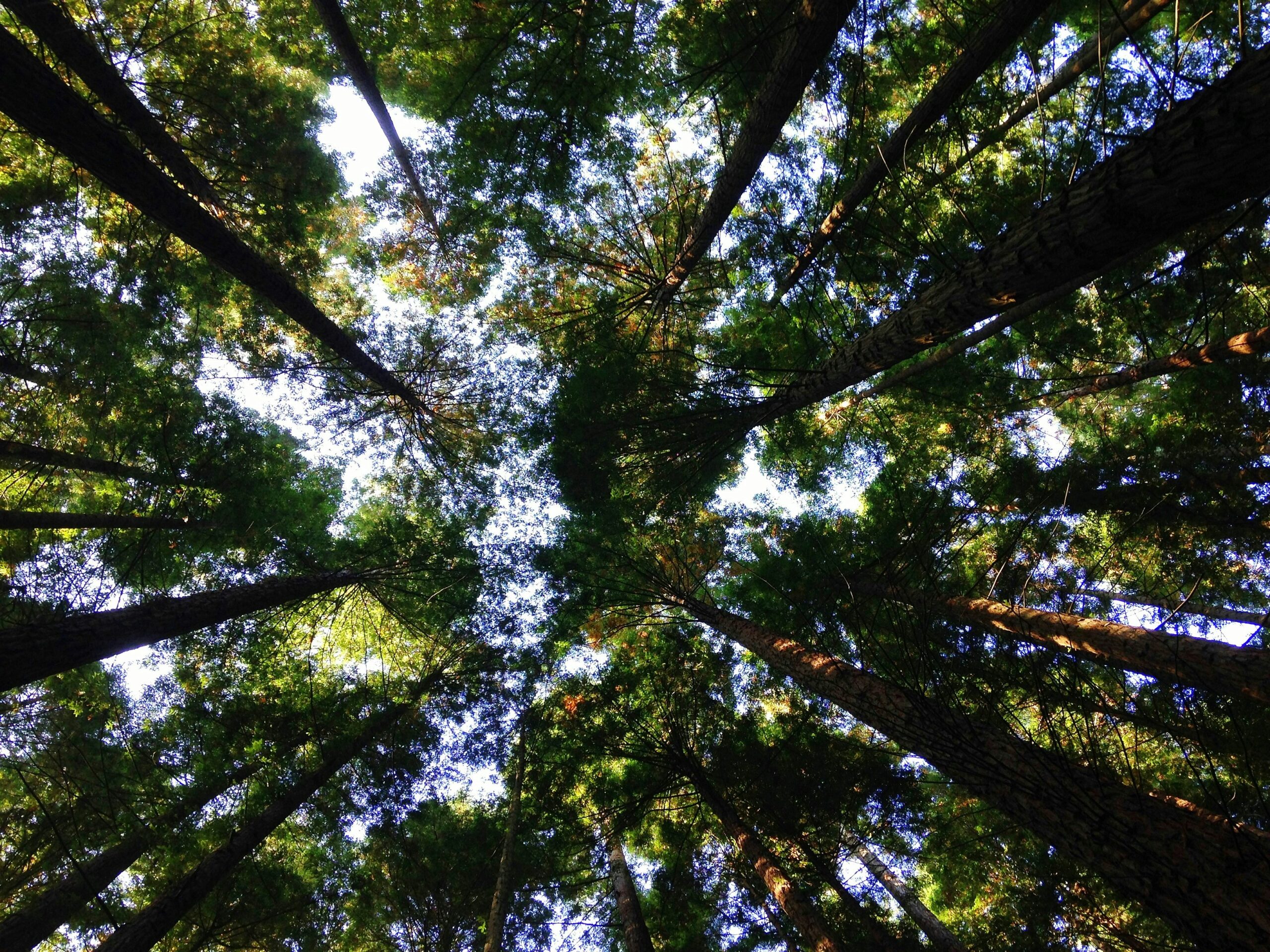 expert reaction to the CSO Environmental Indicators Ireland 2024 Report
