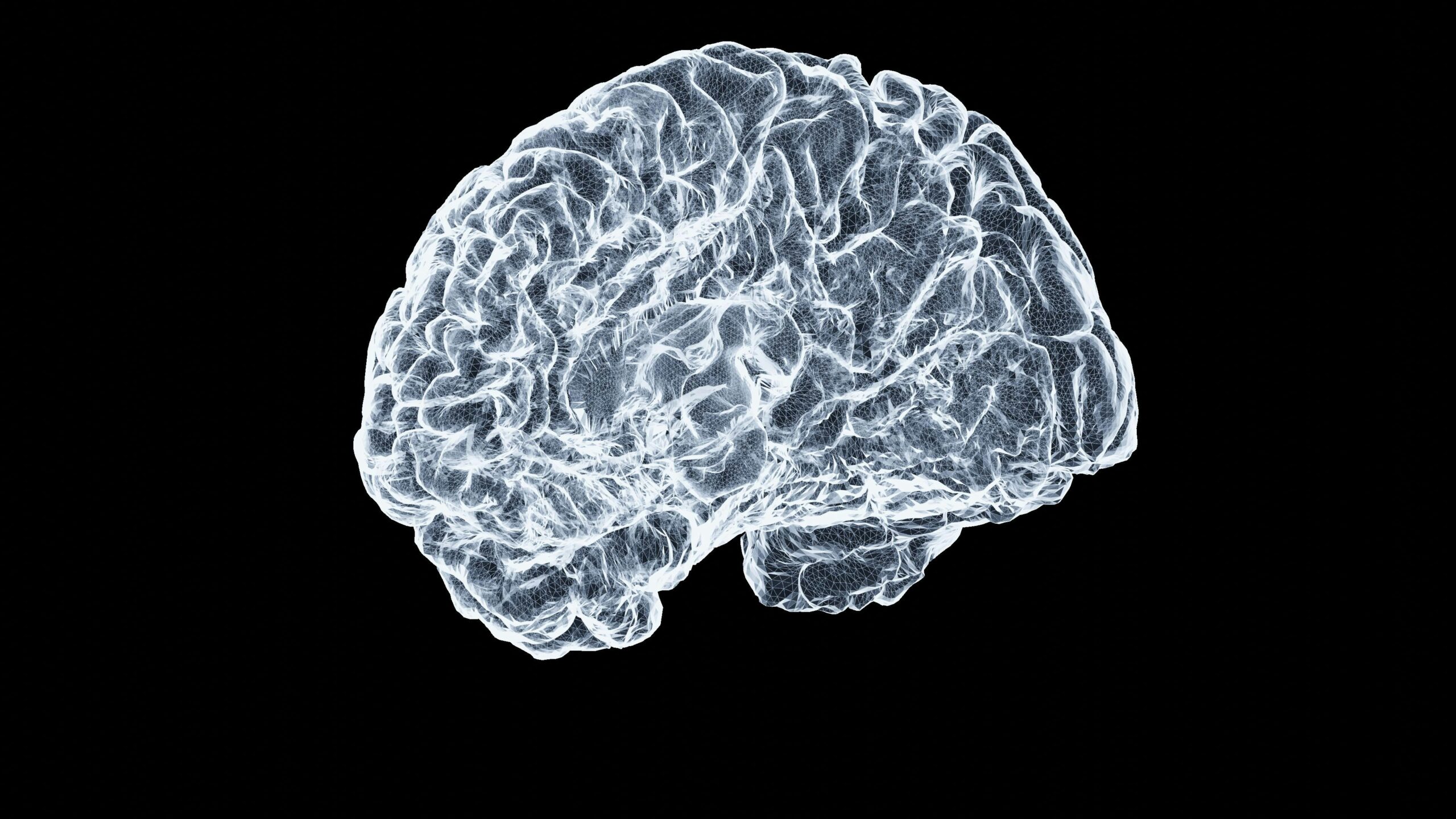 Expert reaction to a study in Nature Medicine looking at the accumulation of microplastics in the brains of dead subjects