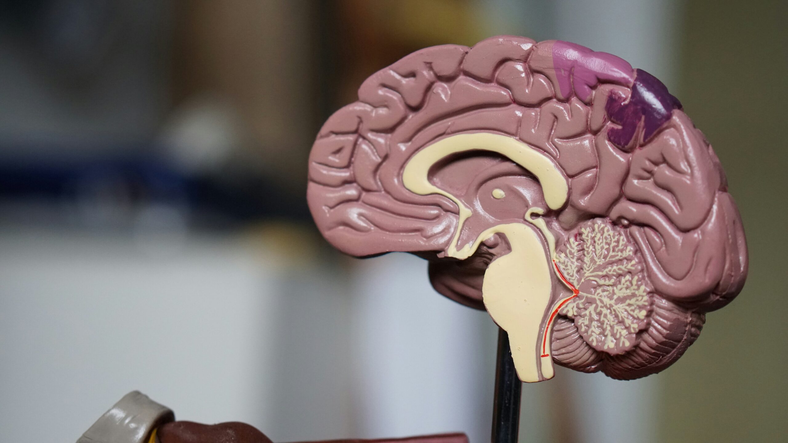 Alzheimer’s drugs show no clinically meaningful benefit, according to Cochrane review – Expert Reaction